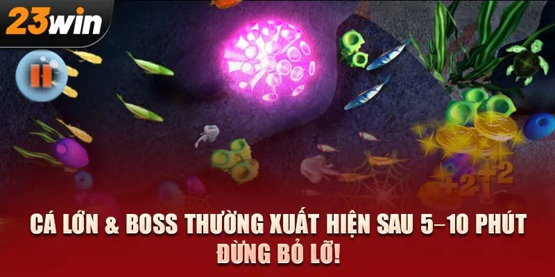 Cá lớn & boss thường xuất hiện sau 5–10 phút – Đừng bỏ lỡ!